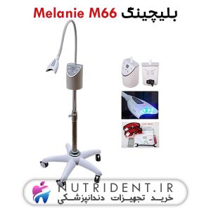 بلیچینگ Melanie M66
