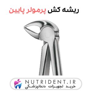 ریشه کش پرمولر پایین